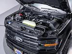 New 2025 Ford F-150 XLT SuperCrew Cab for sale #253164 - photo 11