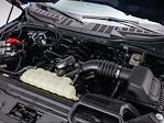 New 2025 Ford F-150 XL Regular Cab 4x4 Pickup for sale #253457 - photo 12