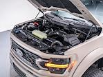 2025 Ford F-150 SuperCrew Cab 4x4 Pickup for sale #253645 - photo 18