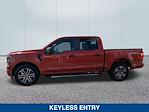 2023 Ford F-150 SuperCrew Cab 4x2 Pickup for sale #253795A - photo 3