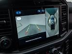 New 2025 Ford F-150 XLT SuperCrew Cab 4x4 Pickup for sale #253841 - photo 33