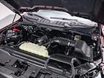 2025 Ford F-150 SuperCrew Cab 4x4 Pickup for sale #253843 - photo 15