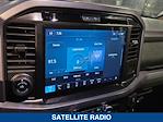 New 2025 Ford F-150 XLT SuperCrew Cab for sale #254082 - photo 12