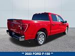 2023 Ford F-150 SuperCrew Cab 4x2 Pickup for sale #254894A - photo 5