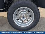 2025 Ford F-450 Regular Cab DRW 4x4 Pickup for sale #E251728 - photo 9