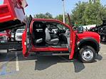 2024 Ford Super Duty F-550 DRW for sale #242345 - photo 9