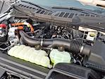 2025 Ford F-150 XLT for sale #250530FC - photo 33