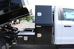 2025 Ford Super Duty F-550 DRW XL 9 2/3 Dump Body w/ LPACK for sale #250696 - photo 5