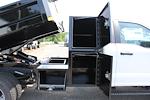 2025 Ford Super Duty F-550 DRW XL 9 2/3 Dump Body w/ LPACK for sale #250696 - photo 6
