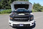 New 2025 Ford F-150 XLT SuperCrew Cab 4WD Pickup for sale #251393 - photo 3