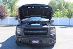 New 2025 Ford F-150 XLT SuperCrew Cab 4WD Pickup for sale #251418 - photo 5