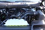 New 2025 Ford F-150 XLT SuperCrew Cab 4WD Pickup for sale #251418 - photo 6