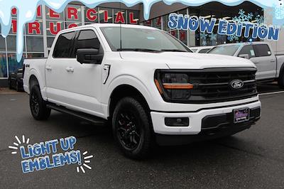 2024 Ford F-150 AAF Customs Edition for sale #241884 - photo 1