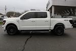 2024 Ford F-150 AAF Customs Edition for sale #241884 - photo 6