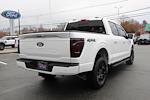 2024 Ford F-150 AAF Customs Edition for sale #241884 - photo 2