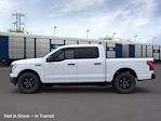 2025 Ford F-150 Lightning Pro for sale #IP-250284 - photo 4