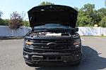 2025 Ford F-150 AAF Customs Edition for sale #250531 - photo 5