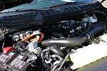 2025 Ford F-150 AAF Customs Edition for sale #250531 - photo 3
