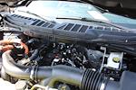 2025 Ford F-150 AAF Customs Edition for sale #250531 - photo 13