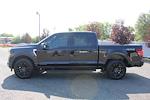 2025 Ford F-150 AAF Customs Edition for sale #250531 - photo 16