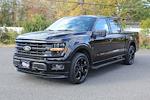 2025 Ford F-150 FP700S Black Edition for sale #251617 - photo 10