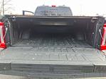 2024 Ford Super Duty F-350 SRW Platinum Tremor for sale #US10602 - photo 27