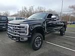 2024 Ford Super Duty F-350 SRW Platinum Tremor for sale #US10602 - photo 4