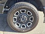 2024 Ford F-250 SRW Platinum for sale #US11750RAV - photo 12