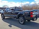 2024 Ford F-250 SRW Platinum for sale #US11750RAV - photo 7