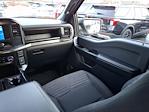 2023 Ford F-150 STX for sale #US12068 - photo 14