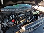 2024 Ford F-350 SRW STX for sale #US12117RAV - photo 32