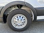 New 2025 Ford Transit 250 Medium Roof Empty Cargo Van for sale #25PT1955 - photo 5
