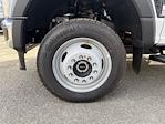 2025 Ford F-550 Regular Cab DRW 4WD Dump Truck for sale #25PT2234 - photo 5