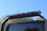 2025 International MV607 Jerr-Dan 6-Ton Steel XLP SD Carrier for sale #25J201 - photo 7