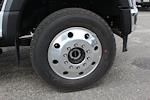 New 2025 Ford F-600 Regular Cab 4WD Cab Chassis for sale #25J230 - photo 27