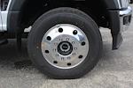 New 2025 Ford F-600 Regular Cab 4WD Cab Chassis for sale #25J239 - photo 30