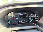 2023 Ford Transit 250 Low Roof RWD Empty Cargo Van for sale #FO46214P - photo 15