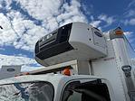 Used 2019 Isuzu NPR-XD Refrigerated Body for sale #FO46375 - photo 12