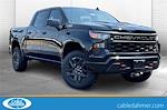 2025 Chevrolet Silverado 1500 Crew Cab 4WD Pickup for sale #A10168 - photo 1