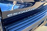 2017 Cadillac Escalade ESV 4WD SUV for sale #A10510A - photo 8