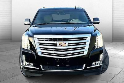 2019 Cadillac Escalade 4WD SUV for sale #P6121 - photo 2