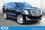 2019 Cadillac Escalade 4WD SUV for sale #P6121 - photo 1
