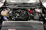 2024 Ford Edge AWD SUV for sale #X102459 - photo 10