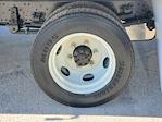 2025 Isuzu NPR-XD Crew Cab RWD Morgan Truck Body Box Truck for sale #T3294 - photo 7