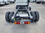 New 2025 Isuzu NPR-HD Crew Cab RWD Cab Chassis for sale #T3486 - photo 2