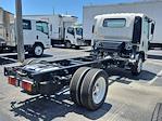 New 2026 Isuzu NPR-HD Regular Cab DRW RWD Cab Chassis for sale #T3540 - photo 2
