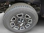 2025 Ford F-350 Crew Cab SRW 4x4 Pickup for sale #SED77260 - photo 10