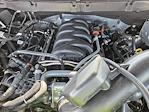 2025 Ford F-150 SuperCrew Cab 4x4 Pickup for sale #SFB54003 - photo 17