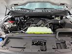 2025 Ford F-150 SuperCrew Cab 4x4 Pickup for sale #SKD63256 - photo 16