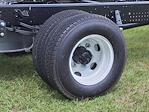 New 2025 Chevrolet LCF 4500HD Regular Cab Cab Chassis for sale #S1032 - photo 5